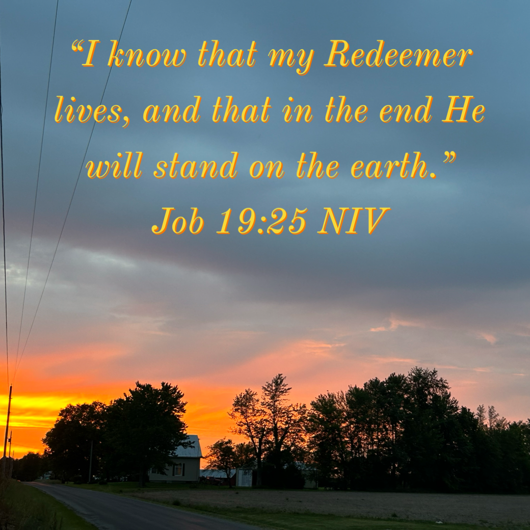 21129A00-B85F-41D6-81FE-C87EA9C9DE7E