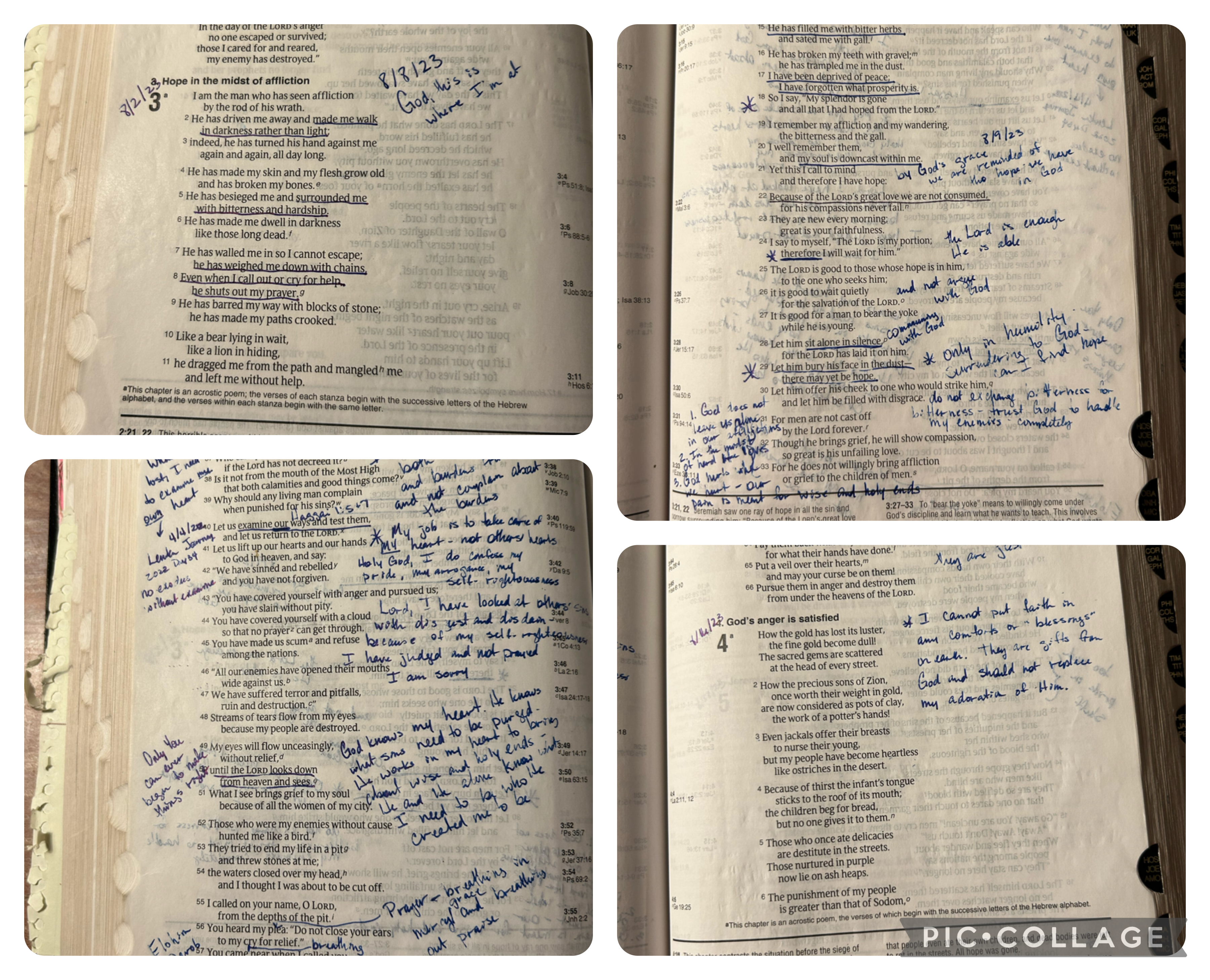 Lamentations collage