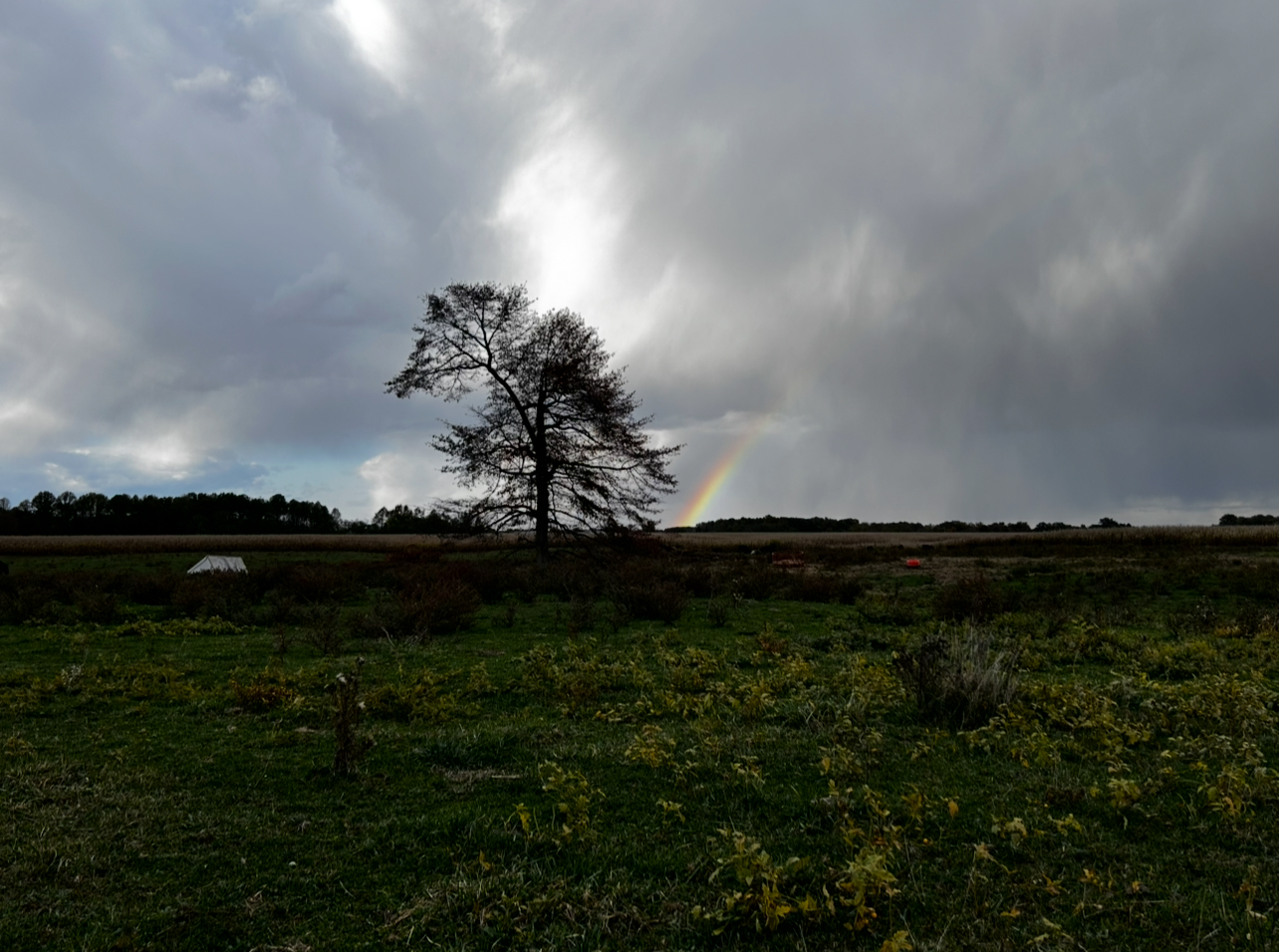 El Shaddai is the promise in the midst of the problems . . .